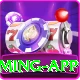 777cx King Gaming App