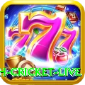 bangladesh cricket live Mega Casino App