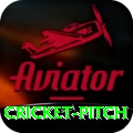 cricket pitch - Slots Ultimate