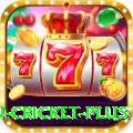 fastest ball in cricket Pakistan Ultimate v1.8.6