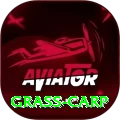 grass carp Master PK v4.5.8