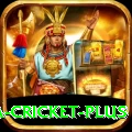 india sri lanka cricket - Premium v2.4.8