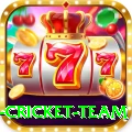 new zealand cricket team - Legend v4.5.5