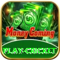 play cricket Extreme Rewards