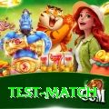 test match Gaming Premium