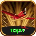 tojay VIP Pro v2.4.0