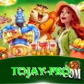 tojay Gold Casino App