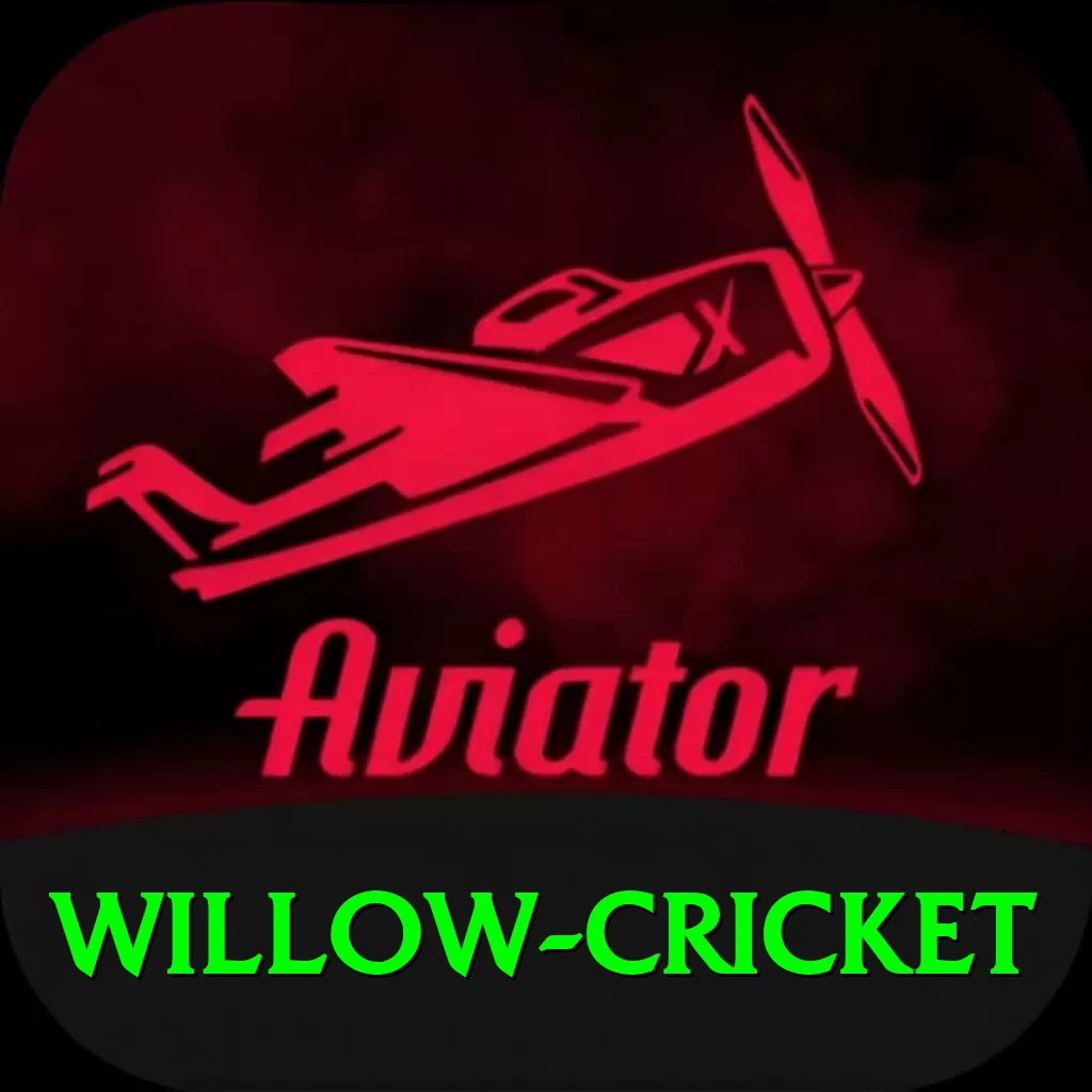 willow cricket - Gaming Champion - 2